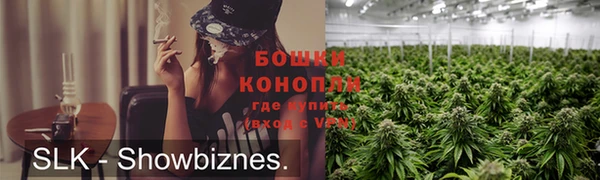 МДПВ Бронницы